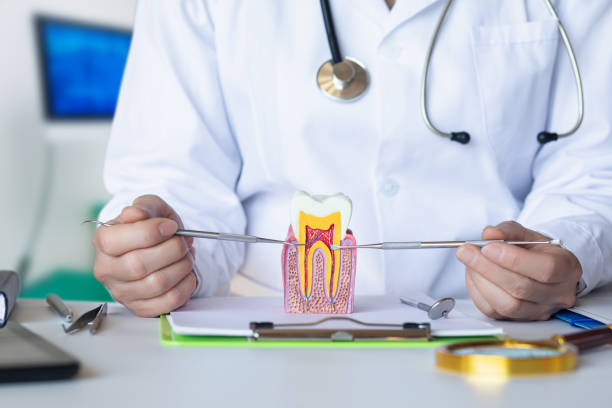 Best Emergency Tooth Extraction in Rawlins, WY